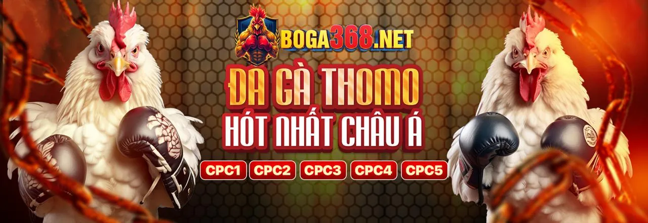 Đá gà trực tuyến 888to Link Mới 2026